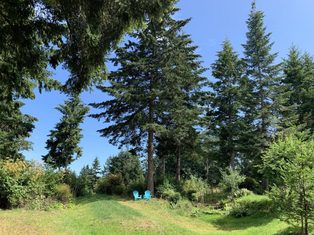 Forest By The Sea Rentals Merville Exteriér fotografie