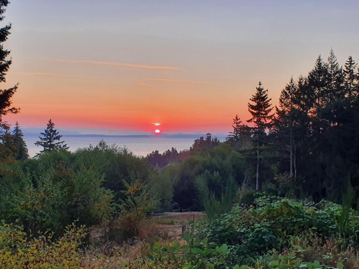 Forest By The Sea Rentals Merville Exteriér fotografie