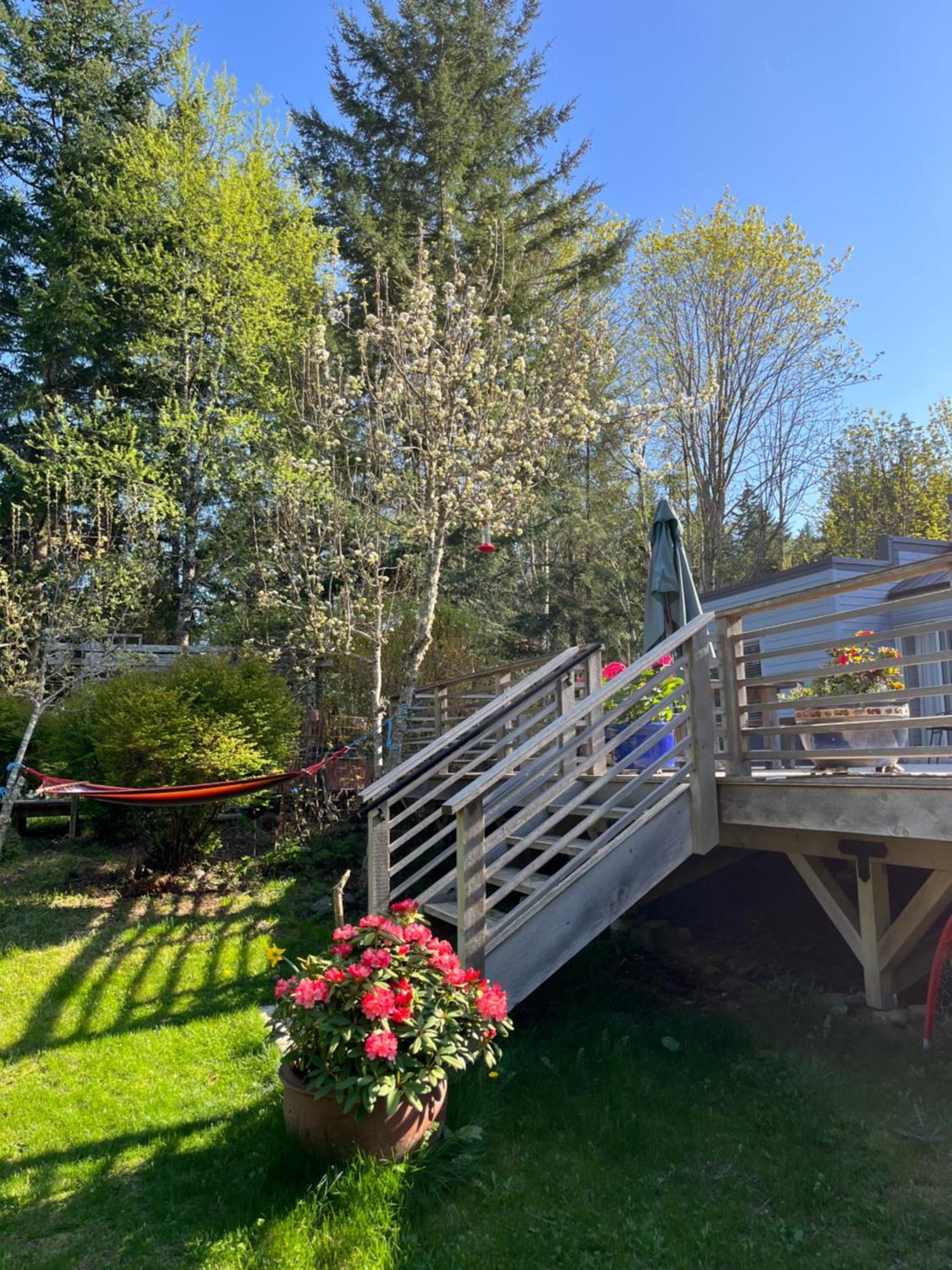 Forest By The Sea Rentals Merville Exteriér fotografie