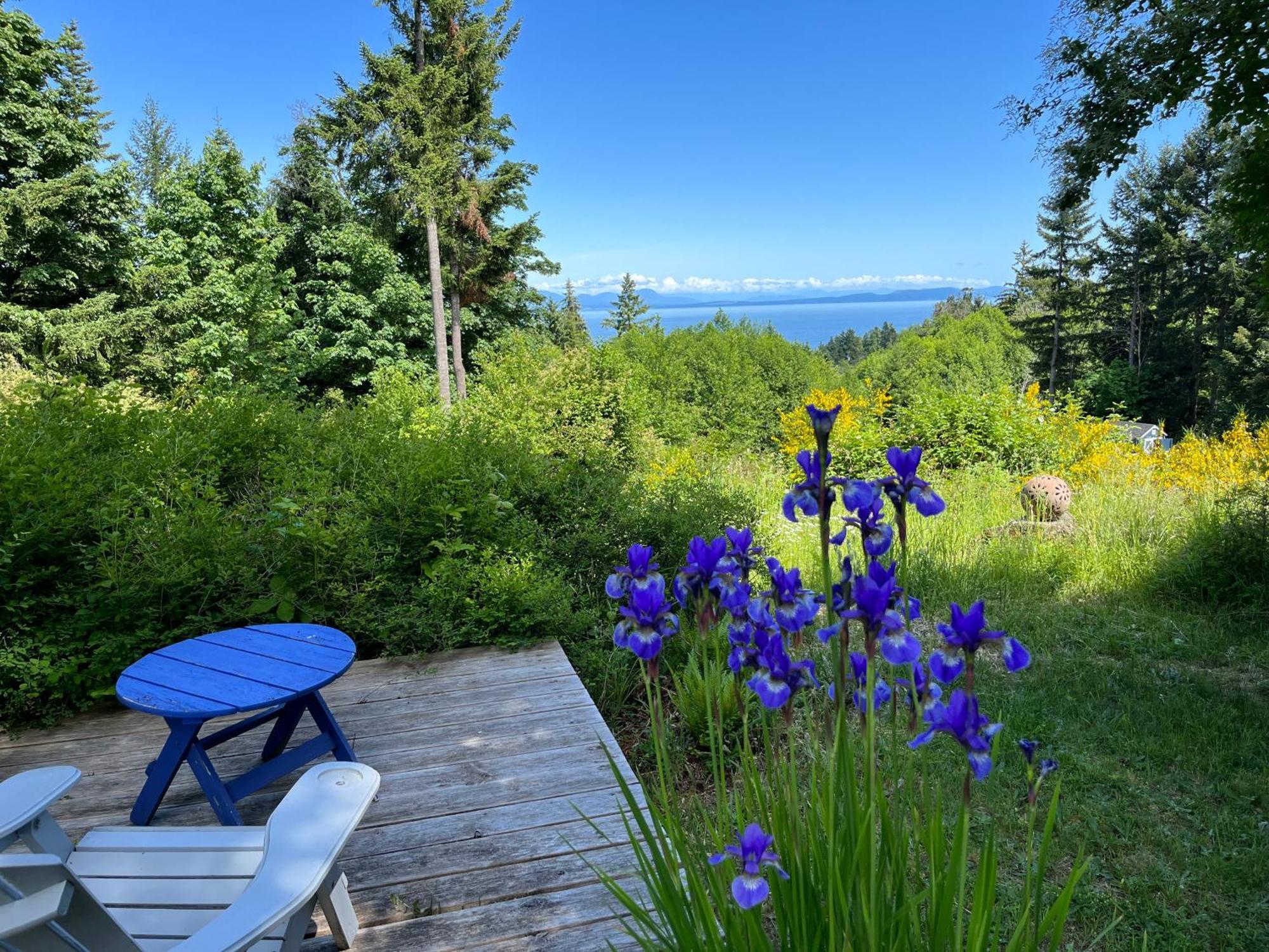 Forest By The Sea Rentals Merville Exteriér fotografie